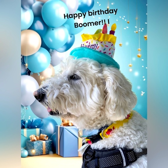 Meet The Vice President π - Picture 3 of 17